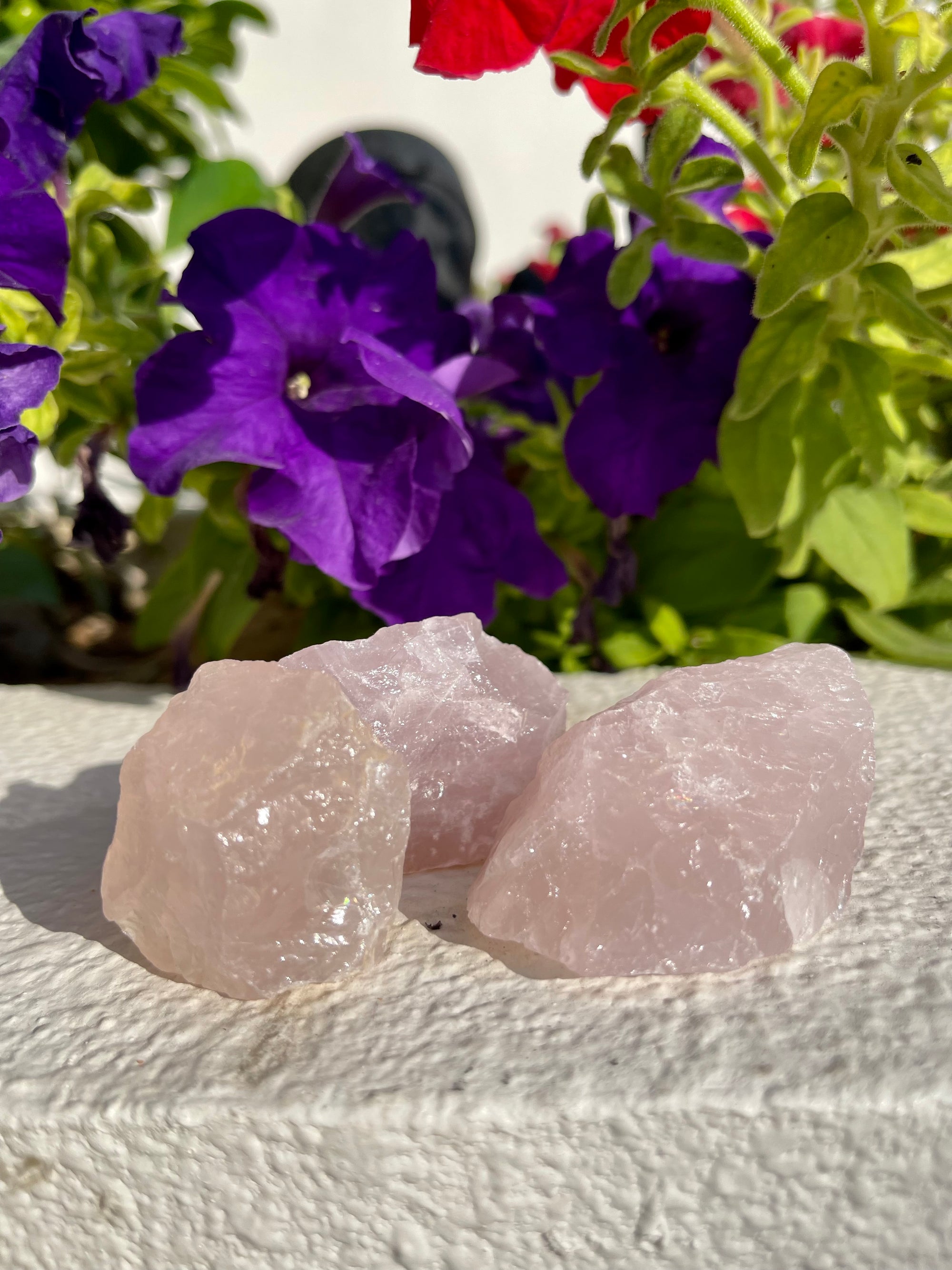 Rose Quartz Rocks